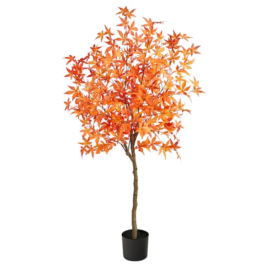 5ft. Potted Orange Autumn Maple Tree